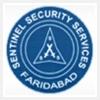 logo of Sentinel Security Services