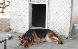 https://www.indiacom.com/photogallery/PNE1172509_Royal Palms Dog Hospital Interior1.jpg