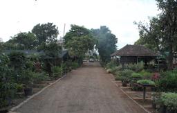 https://www.indiacom.com/photogallery/PNE161374_More Gardens Nursery - Storefront.jpg