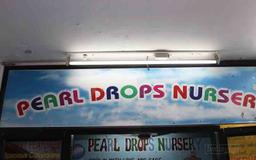 https://www.indiacom.com/photogallery/PNE189480_Pearl Drops Nursery Store Front.jpg