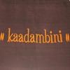 logo of Kaadambini Boutique
