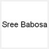 logo of Sree Babosa Computers