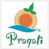 logo of Pragati Green Meadow And Resorts Limited