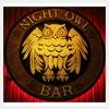 logo of Night Owl