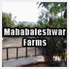 logo of Mahabaleshwar Farms