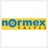 logo of Normex Valves Private Limited