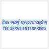 logo of Tecserve Enterprises