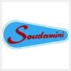 logo of Soudamini Instruments