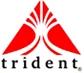 logo of Trident Services Private Limited
