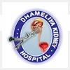 logo of Dhameliya Kidney Hospital & Lithotripsy Centre