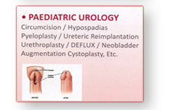 Paediatric Urology 