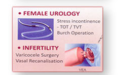 Female Urology  