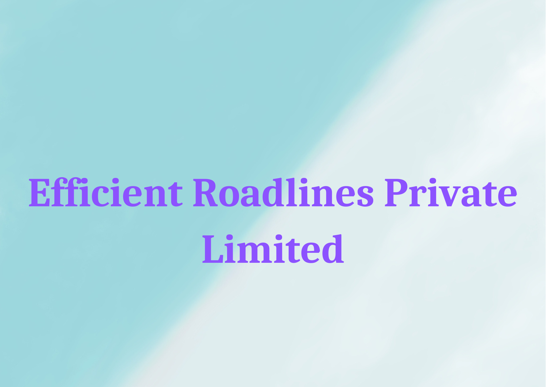  Efficient Roadlines Private Limited 