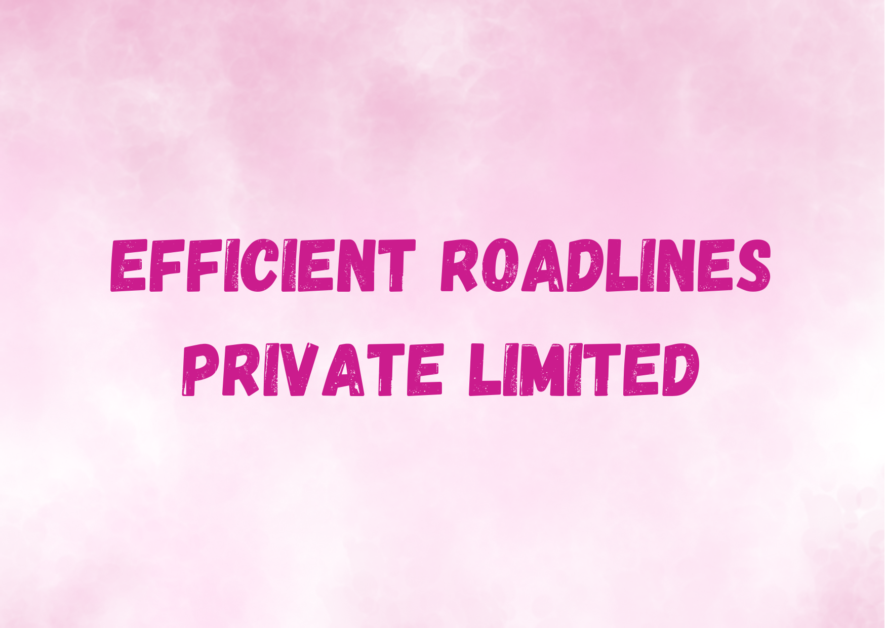  Efficient Roadlines Private Limited,   