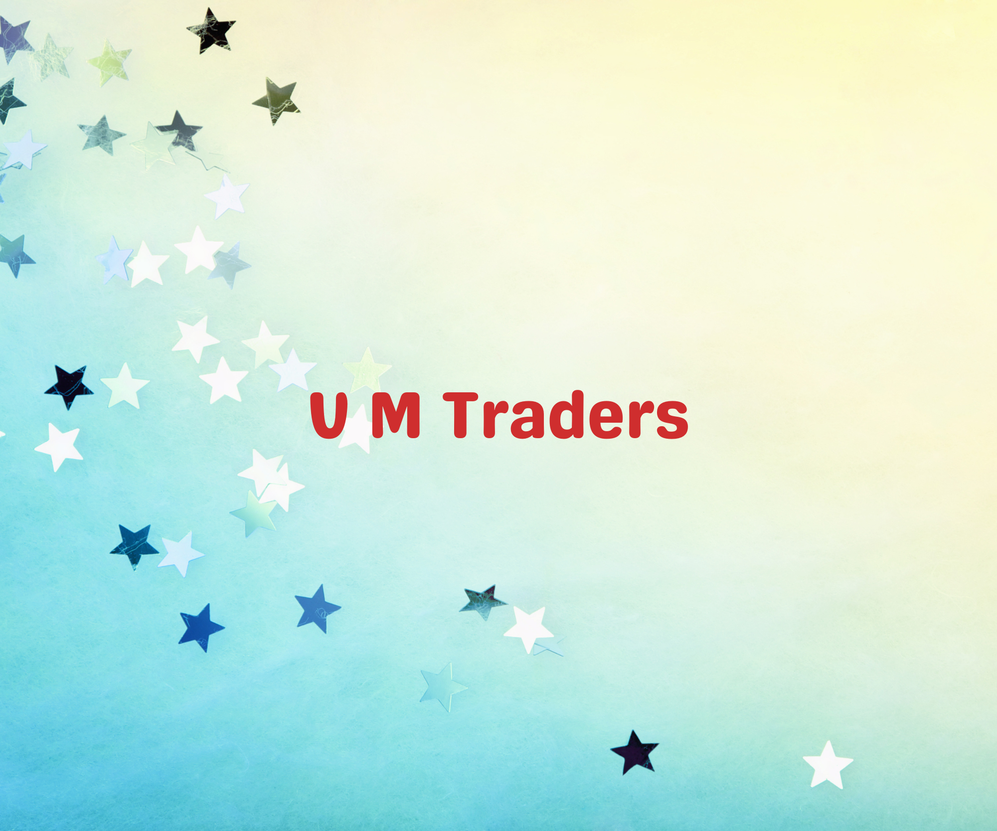 V M Traders    