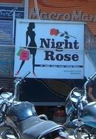 logo of Night Rose