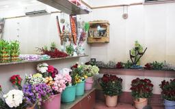 https://www.indiacom.com/photogallery/VAR54434_Shrinathji Florist Product.jpg