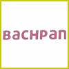 logo of Bachpan A Play School And Pyramid International School