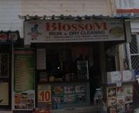 logo of Blossom Iorn & Dry Cleaning