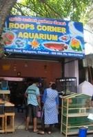 logo of Roops Corner Aquarium