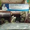 logo of Tushar Dental S Clinic