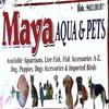 logo of Maya Aqua Pets