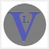 logo of Vison Labs
