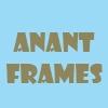logo of Anant Frames