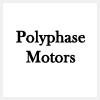 logo of Polyphase Motors