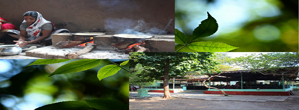 slider of Anandvan – Gokhale Mala