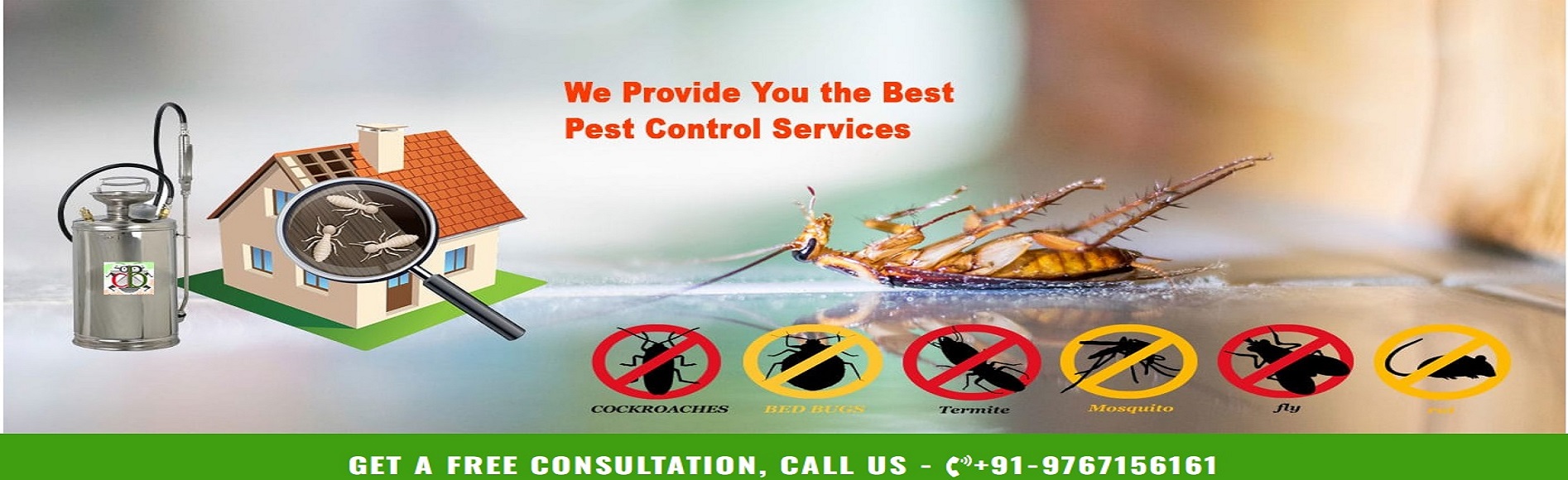 BIOCHEM PEST CONTROL, Opp. Gokhale Hall, Narayan Peth, Pune  