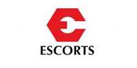 escorts