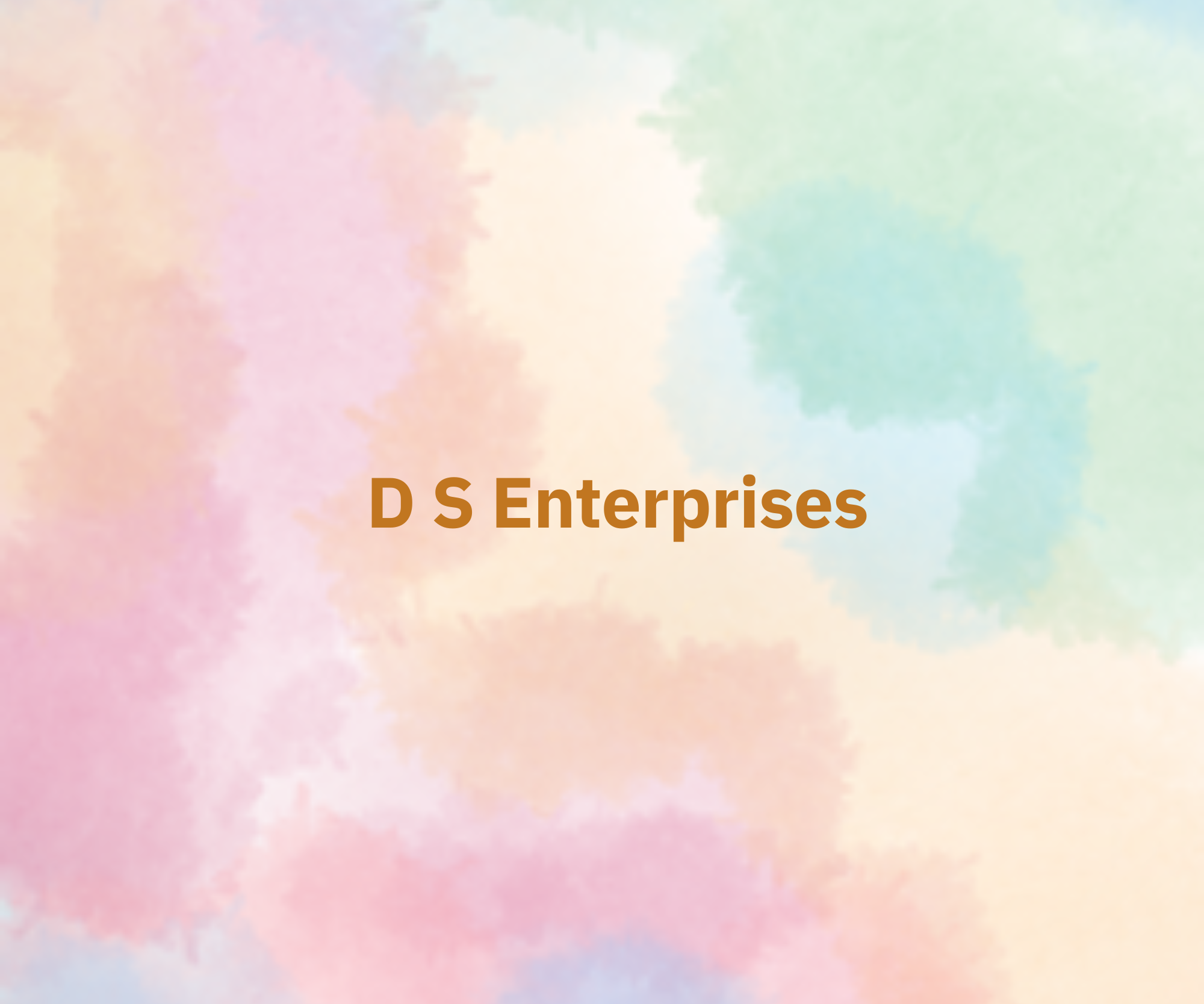 D S Enterprises 
