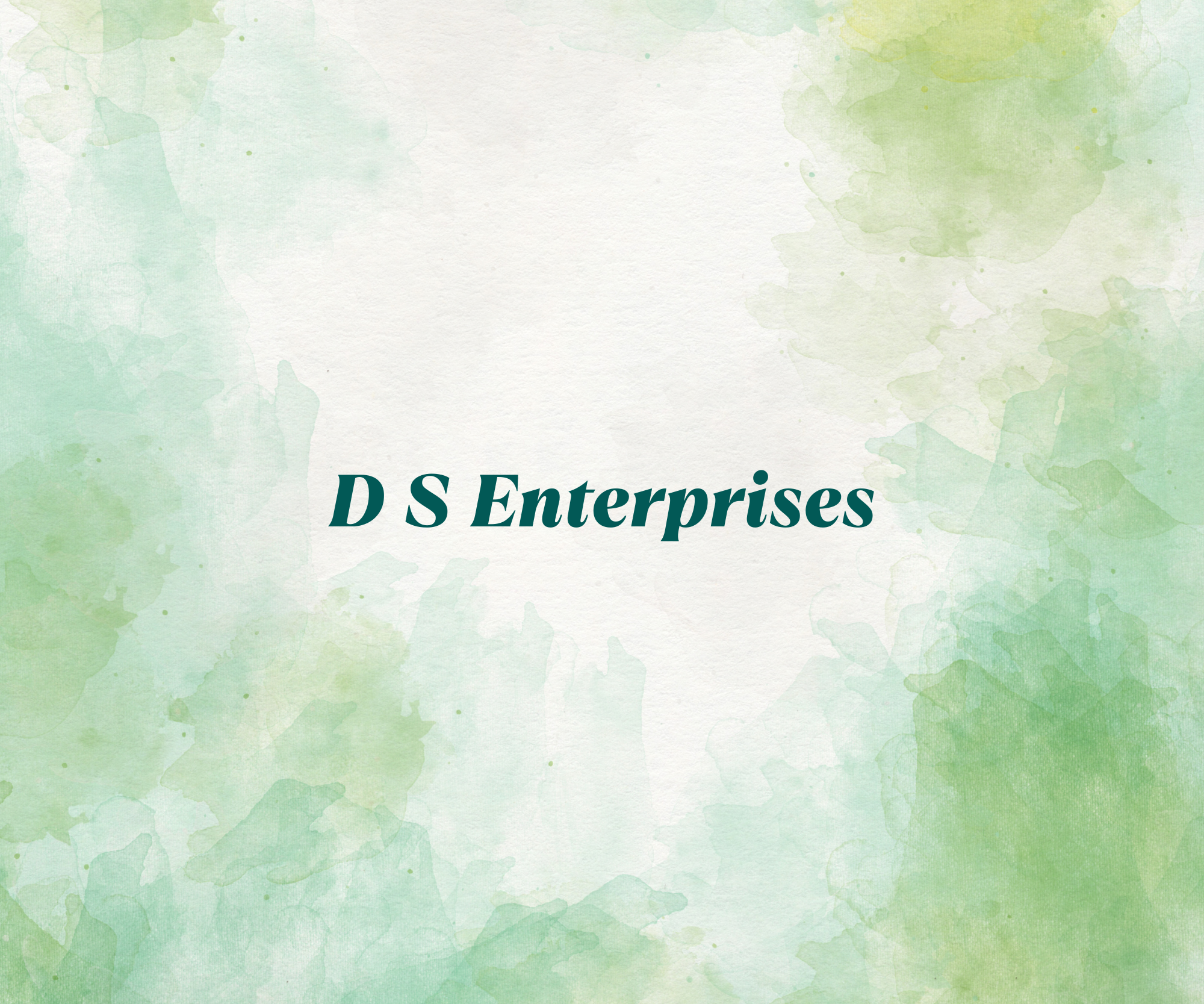 D S Enterprises 