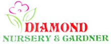 Diamond Nursery and Gardener, Logo