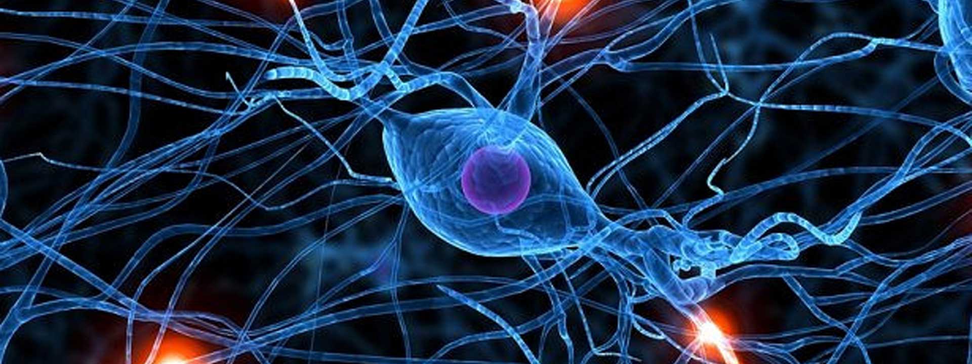 Dr. Atul Sajgure, Opposite Dabolkar Press, Pune | Neurologist and Neurosurgeon 