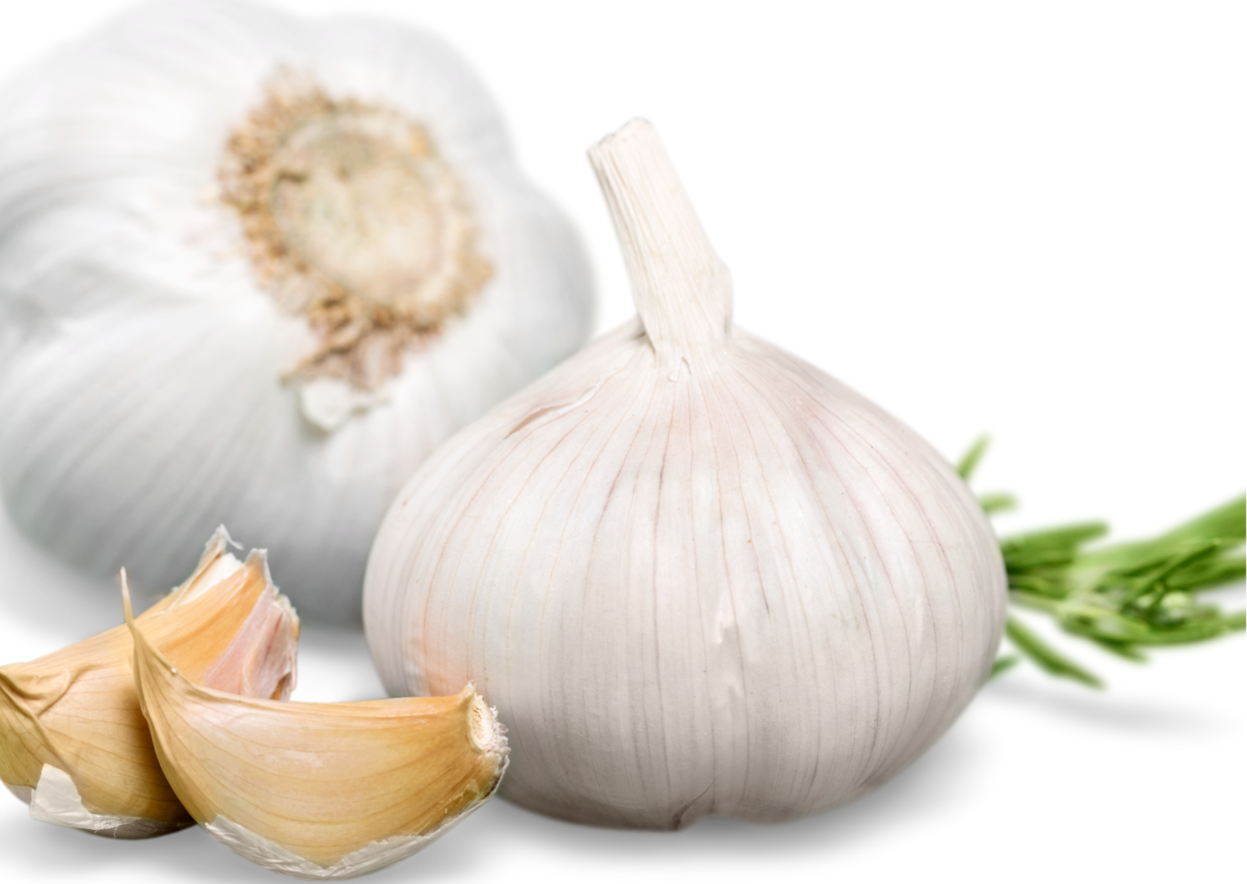  Garlic 