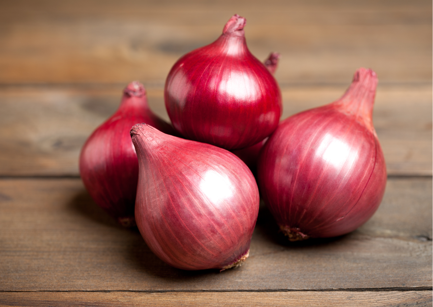 Onion