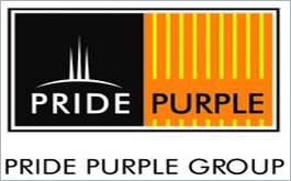 Pride Purple Developers