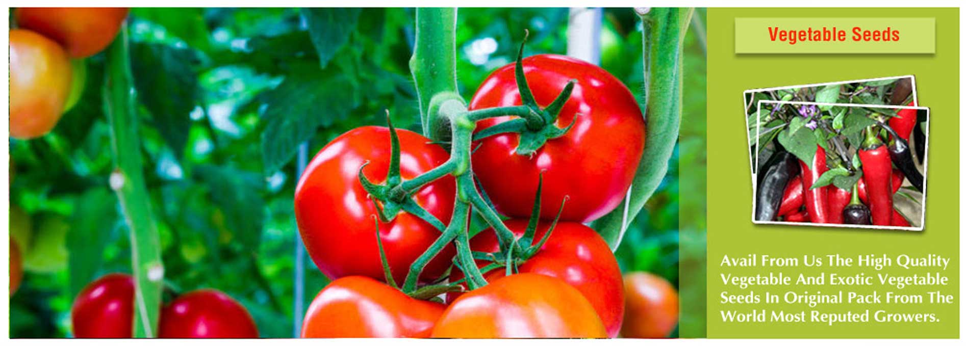 Naik Krishi Udyog & Co., Shivaji Road, Swargate, Pune | Dealers of Agricultural Tools, Equipments and Machinery  