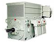 High Voltage Motors