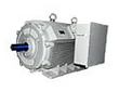 Low Voltage Motors