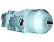 Motors for Hazardous Areas