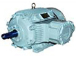 Motors for Hazardous Area
