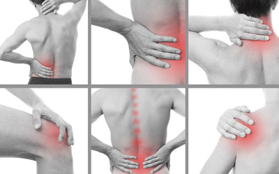 Spinex Spine Care International  