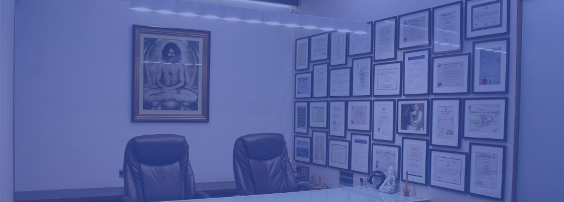 Spinex Spine Care International 