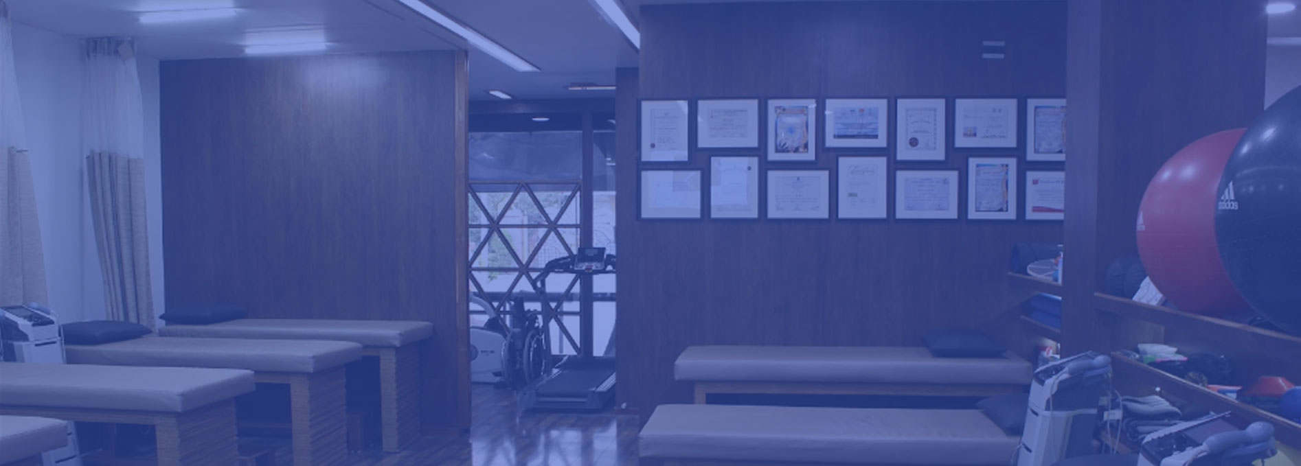 Spinex Spine Care International 