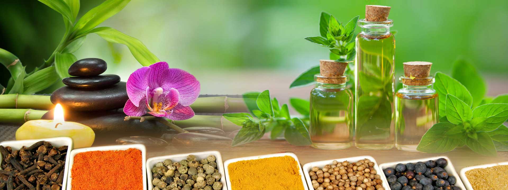 Vaidya Vivek D. Sane, Rambaug Colony, Paud Road, Kothrud, Pune | Ayurvedic Doctors 